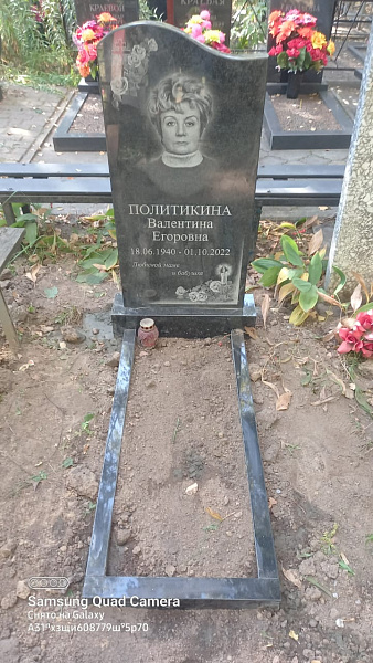 Политикина