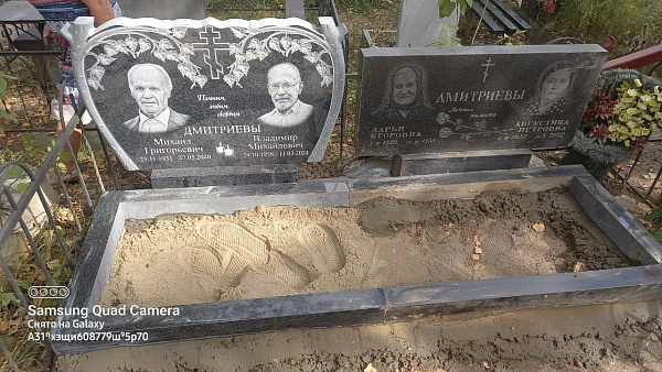 Дмитриевы