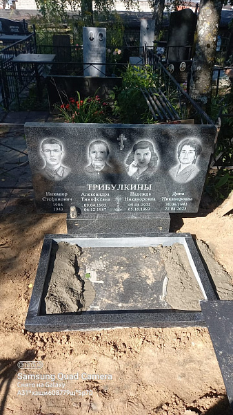 Трибулкины